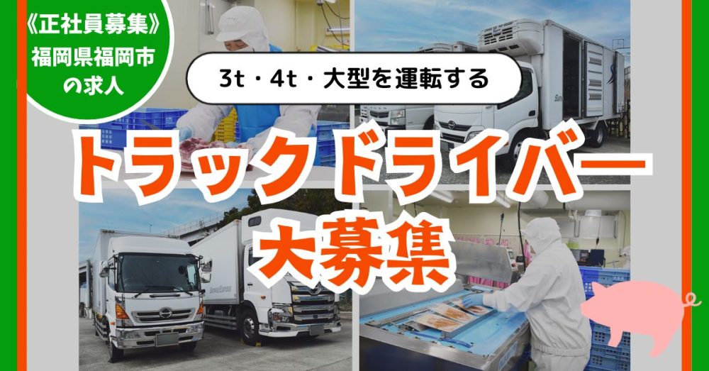 【日本ベストミート株式会社】お肉を運ぶ3t・4t・大型トラックドライバー｜《正社員》募集【福岡県福岡市の求人】